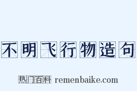 不明飞行物造句是什么意思的图片